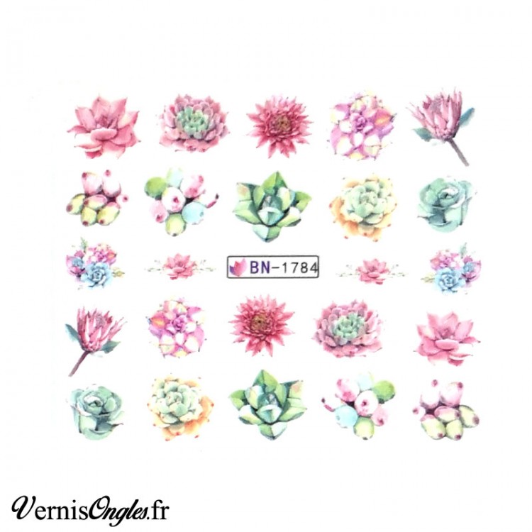 Water Decals plantes grasses BN-1784
